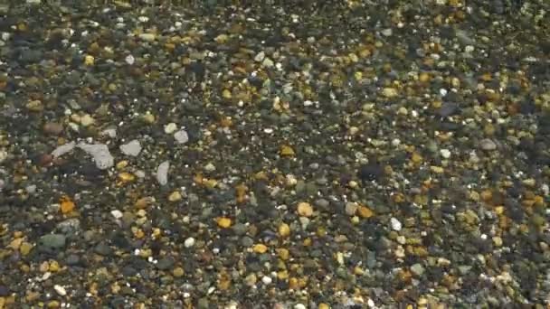 自然な背景。澄んだ水を持つ小石のビーチ。コピースペース — ストック動画