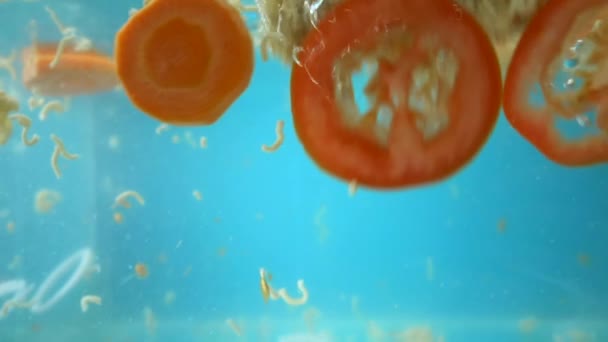 Ψιλοκομμένα λαχανικά και στιγμιαία νουντλς πέφτουν στο νερό. — Αρχείο Βίντεο