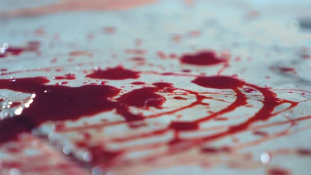 Detailní záběr. Krev kape na podlahu. kaluž krve na podlaze — Stock video
