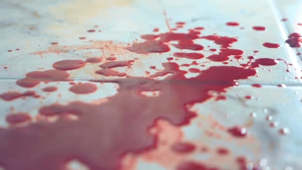 Fechar. O sangue escorre para o chão. uma piscina de sangue no chão — Vídeo de Stock