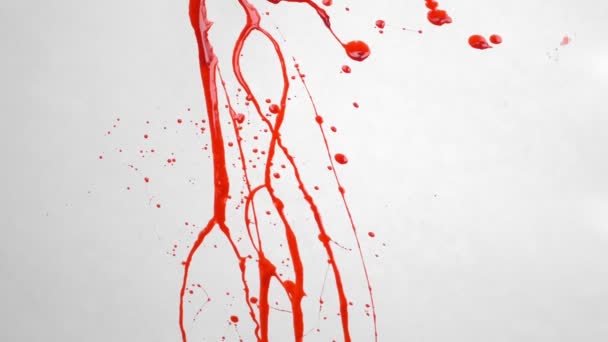 Gros plan. le sang coule sur le sol. une mare de sang sur le sol — Video