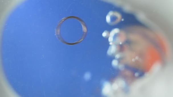 La mujer tiró el anillo de compromiso al inodoro. la vista bajo el agua — Vídeo de stock