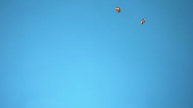 Altın mücevher, zincir suya düşmüş. mavi arkaplan.