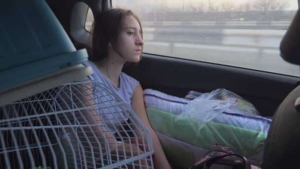 Concept de voyage. Triste fille avec une cage pour animaux regarde par la fenêtre de la voiture — Video