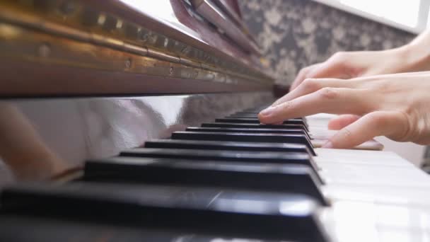 Närbild. Manliga händer som spelar piano. kopieringsutrymme. — Stockvideo