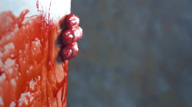 closeup. the bloodied hands of the victim hold on to the edge of the corner a clipart