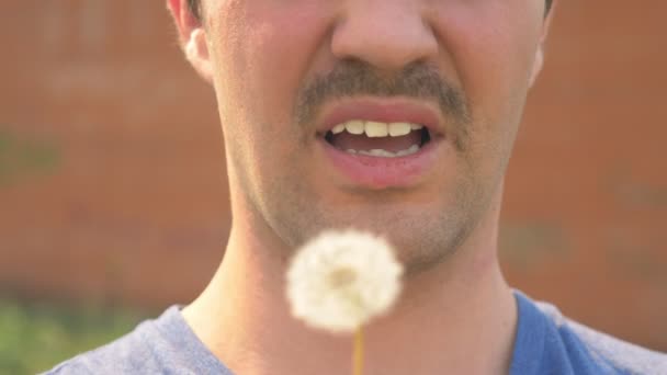 Primer plano. labios de un hombre bigotudo soplan sobre un diente de león — Vídeos de Stock