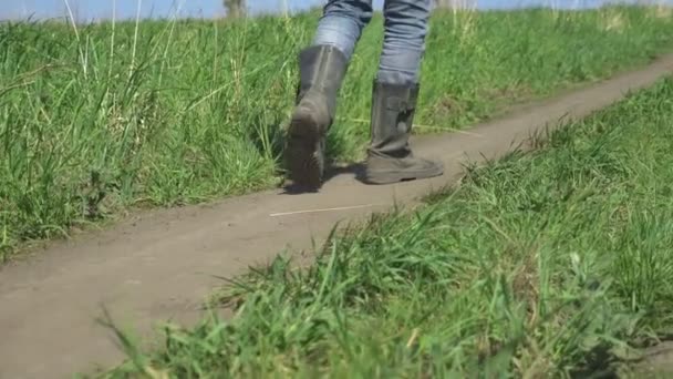 Крупный план ног. Человек в холсте, спускающийся по дороге в поле — стоковое видео