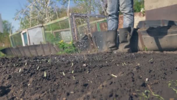 Primer plano. un hombre con botas de goma regando el suelo de una regadera — Vídeo de stock