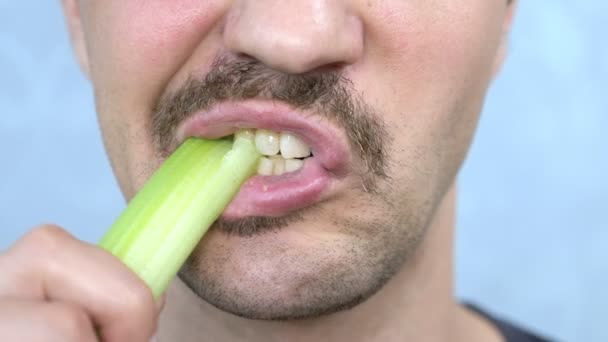 口を閉じて。ハンサムなムスタチオ男は喜んでセロリの茎を食べます — ストック動画