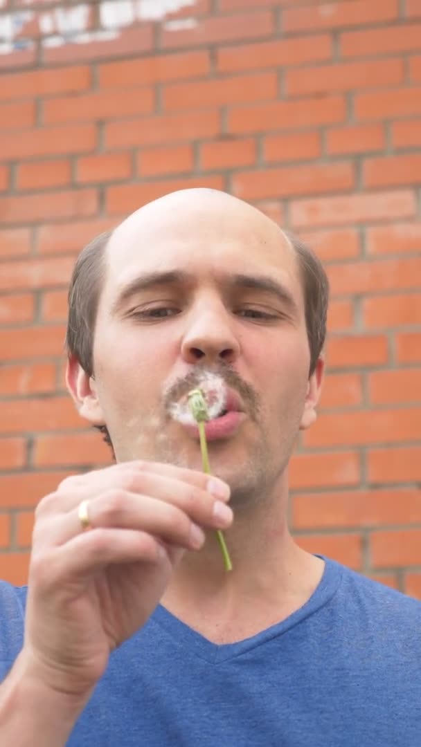 Verticalement, homme moustachu soufflant sur un pissenlit sur un fond de mur de briques — Video