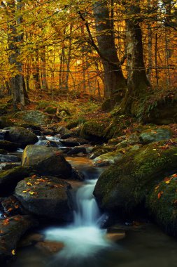 Şelale mid sonbahar dağlarında