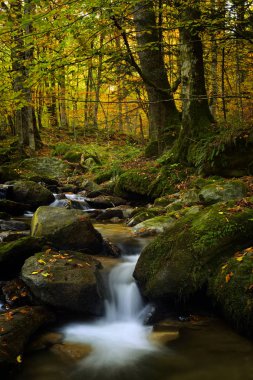 Şelale mid sonbahar dağlarında