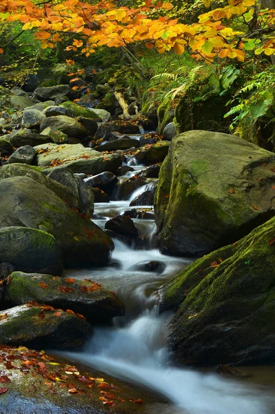 Cachoeira nas montanhas em meados do Outono — Fotografia de Stock