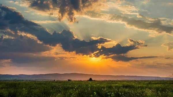 Colorful summer sunset with lush grass and sun beams — Stock Photo, Image