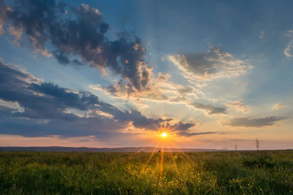 Barevný letní západ slunce se svěží trávou a slunečními paprsky — Stock fotografie