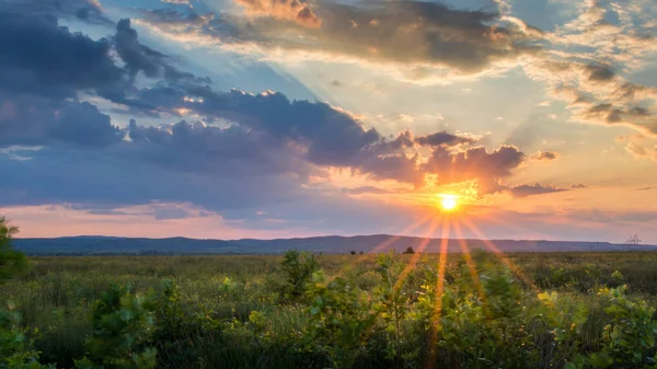 Barevný letní západ slunce se svěží trávou a slunečními paprsky — Stock fotografie