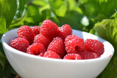 Bahçedeki tabakta iştah açıcı kırmızı ahududu