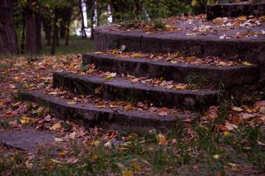 Parktaki eski terk edilmiş merdivenler.