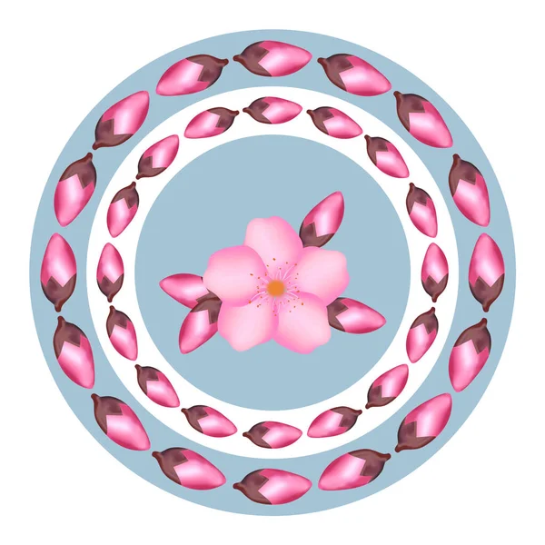 Patrón Flor Cerezo Color Rosa Diferentes Versiones Sobre Fondo Blanco —  Fotos de Stock