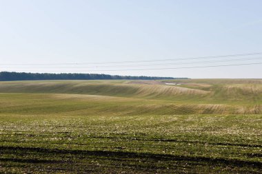 İlkbaharın başlarında, tarlada kış ekinleri filizleniyor, toprak hala bir traktörün ektiği tarlalardan görünür izler.
