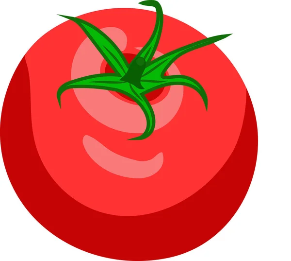 Drawing Red Juicy Tomato Tail White Background — Stock Photo, Image