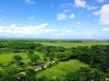 Manzara: Dominik Cumhuriyeti 'nde yeşil ovalar, yemyeşil bitki örtüsü, mavi gökyüzünün aksine yeşil orman..