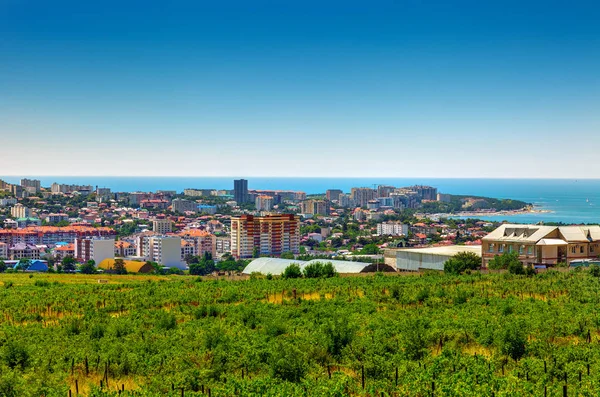 Costa Del Mar Negro Gelendzhik Rusia Fotos Los Alrededores Ciudad —  Fotos de Stock