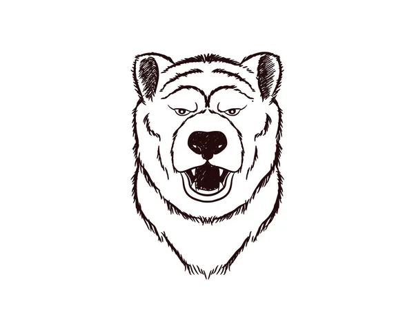 Ręcznie Rysowany Szkic Głowy Niedźwiedzia Stylu Retro — Wektor stockowy