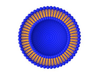Lipozom çift katmanlı yapısı 3d çizim