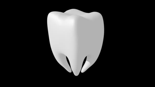 Вращающийся зуб человека — стоковое видео