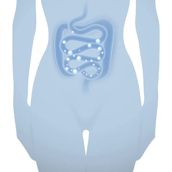 Silueta de mujer con intestino sano — Archivo Imágenes Vectoriales