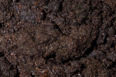 Islak bahçe kara toprağının yüzey dokusu. Çamur ve kirli arka plan. Makro görünümü kapat