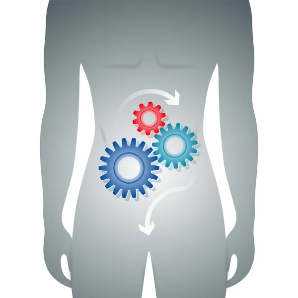 Corpo Humano Com Boa Digestão Estômago Representado Por Mecanismo Engrenagem —  Vetores de Stock