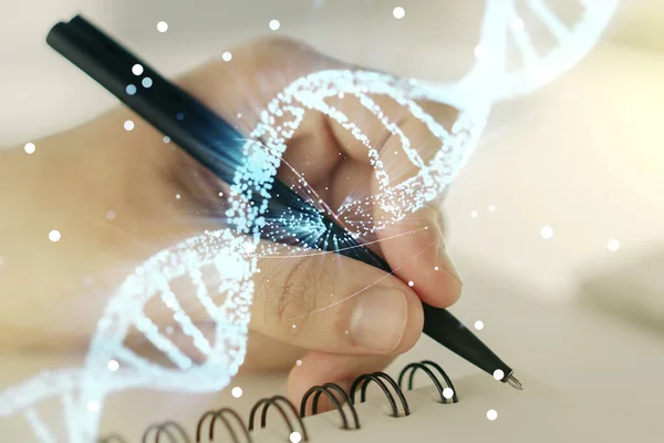 Double exposure of creative DNA hologram and man hand writing in notebook on background. Bio Engineering and DNA Research concept