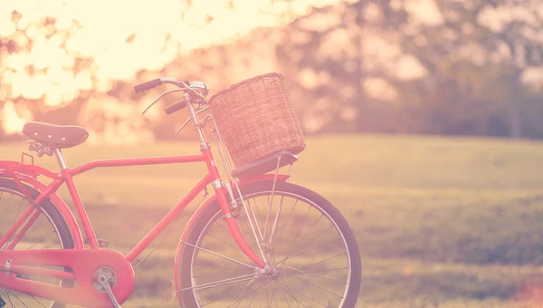 公園で赤日本スタイルのクラシック自転車 — ストック写真