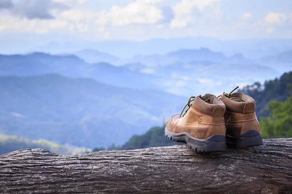 Új barna bőr cipő a hegyre pont. Kaland fogalma — Stock Fotó