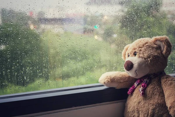 Teddy bear sitting beside the window while raining