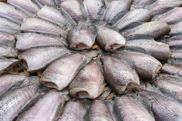 New fish dried under the sun prepare for cook in in market — Stock Photo, Image