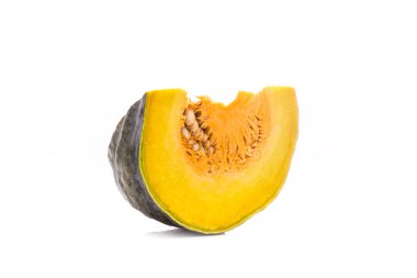 Tay kabak parçası. Stüdyo izole üzerinde beyaz vurdu