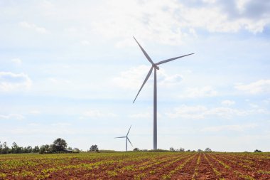Rüzgar türbinleri çiftliği tepede. Elektrik, Tayland