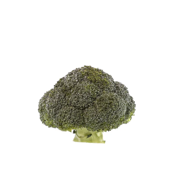 Zelené brokolice. Studio záběr izolované na bílém — Stock fotografie