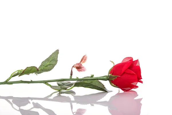 Rojo de flor artificial. Estudio de tiro aislado en blanco —  Fotos de Stock