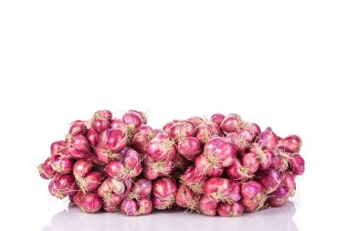 Tay arpacık grup. Stüdyo izole üzerinde beyaz vurdu