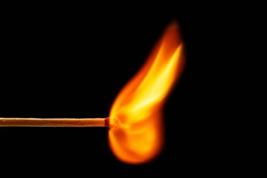Makro Matchstick üzerinde yanan ateşi. İzole üzerinde siyah stüdyo vurdu 