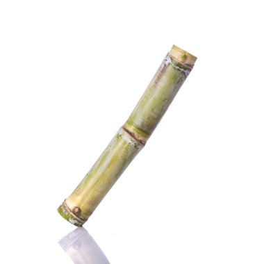 Taze şeker kamışı. Stüdyo izole üzerinde beyaz vurdu 