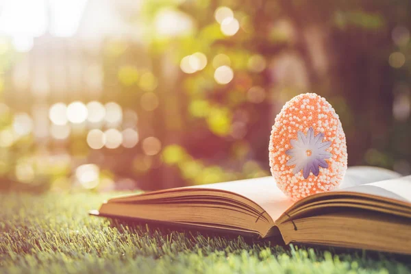 Kleur eieren op groen gras met vervaging bokeh en zonlicht pagina — Stockfoto