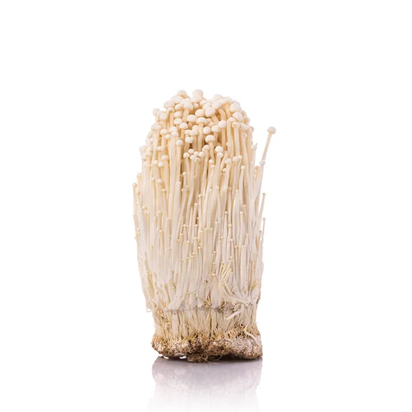 White fresh enoki mushroom. Studio shot isolated on white — Stock Photo, Image