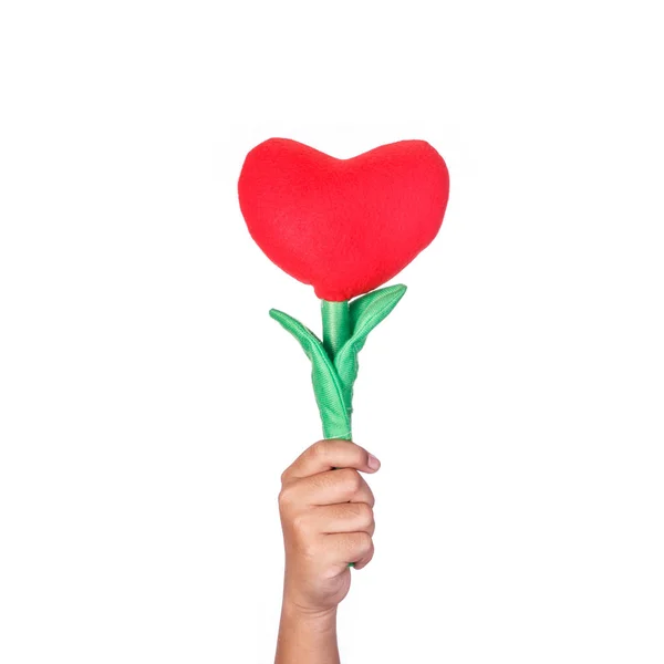 Рука тримає штучну червону квітку серця. Студійний постріл ізольовано — стокове фото