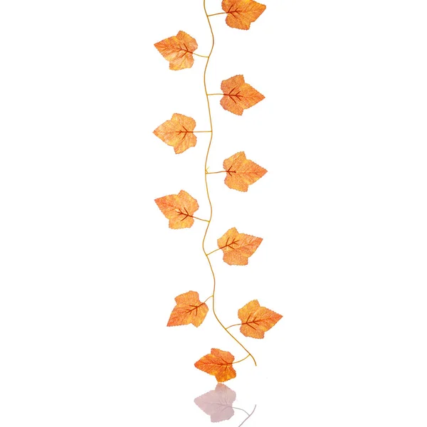 Umělé plastové javorový list. Studio záběr izolované na bílém — Stock fotografie